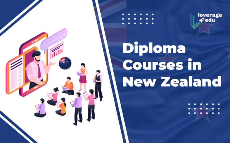 Diploma courses in New Zealand