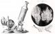 An illustration of Robert Hooke's microscope (left); an illustration of cork cells from his 1665 text Microscopia (right) - Cell Structure and Function Class 8