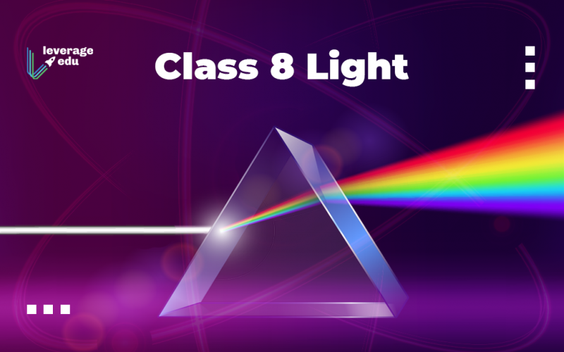 Class 8 Light