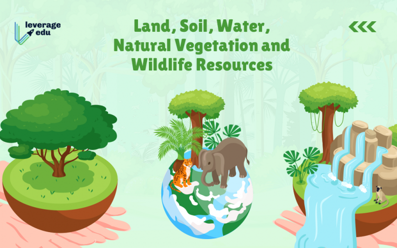 Land, Soil, Water, Natural Vegetation and Wildlife Resources