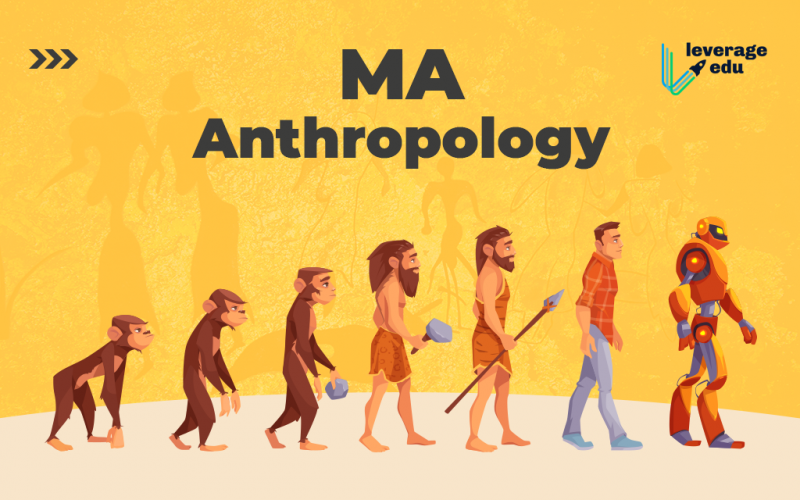 MA Anthropology