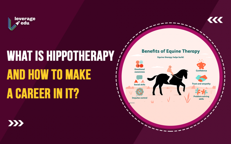 What is Hippotherapy and How to Make a Career in it