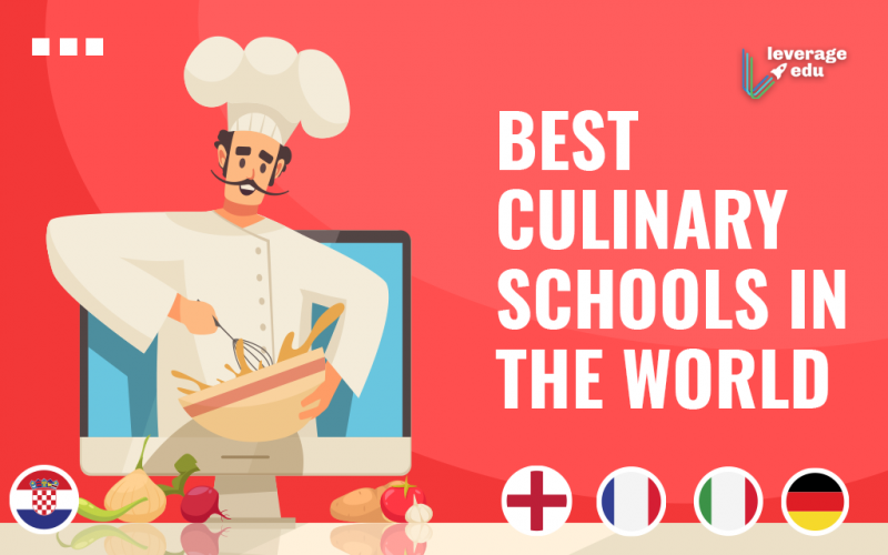 Best Culinary Schools in the World