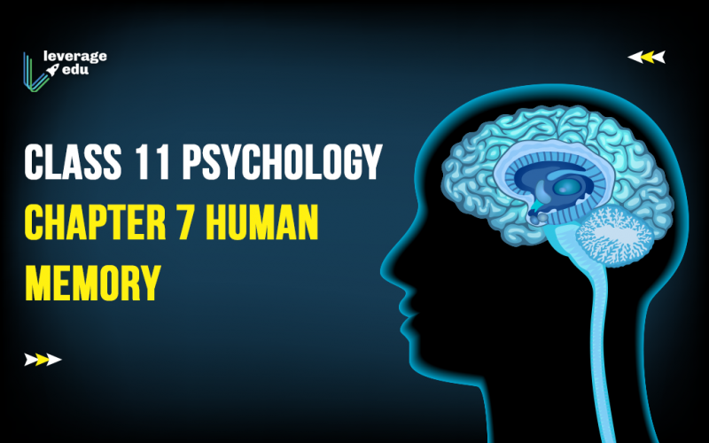 Class 11 Psychology Chapter 7 Human Memory