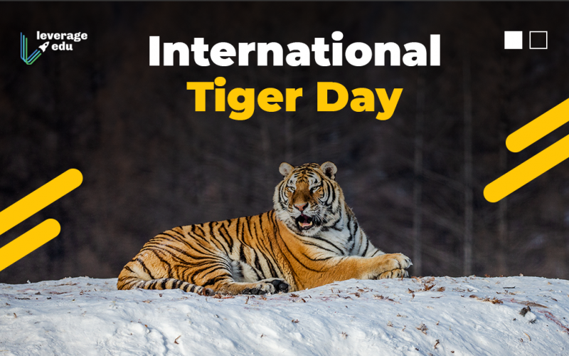 International Tiger Day