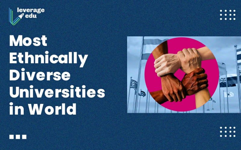 Most Ethnically Diverse Universities in the World