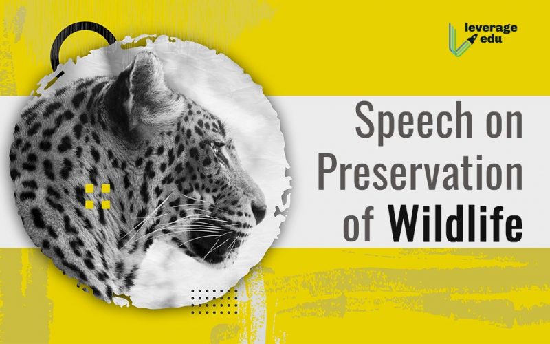 Preservation of Wildlife Speech