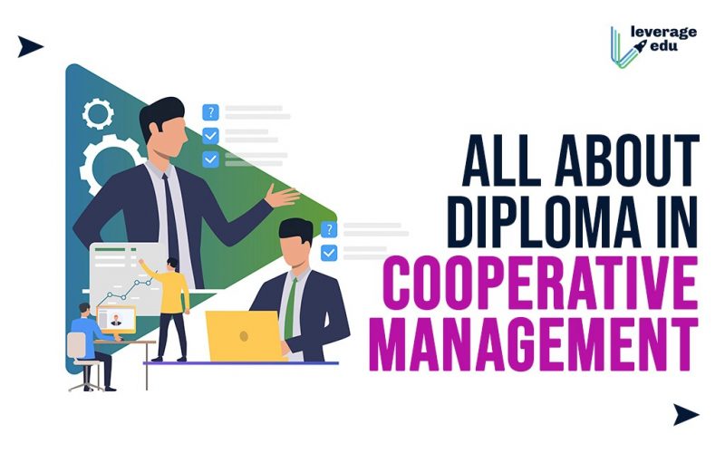 All About Diploma in Cooperative Management