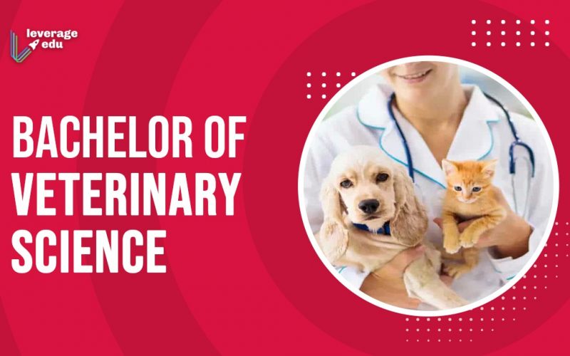 Bachelor of Veterinary Science (BVSc)