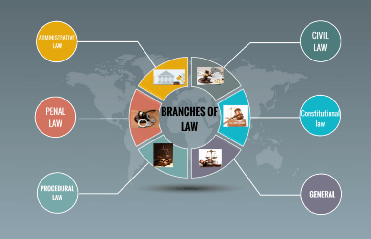 branches civil law