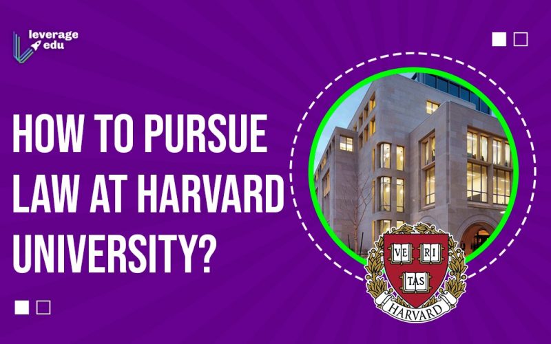 How to Pursue Law at Harvard University