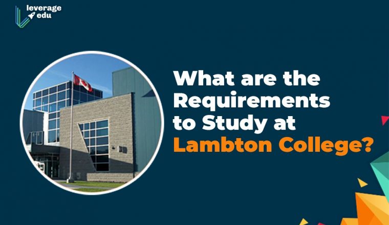 Sds And Non Sds Visa Difference Requirements Leverage Edu