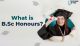 What is BSc Honours