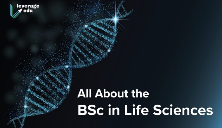 Courses After BiPC: After Inter BiPC Courses List 2025 Courses After BiPC: After Inter BiPC Courses List 2025