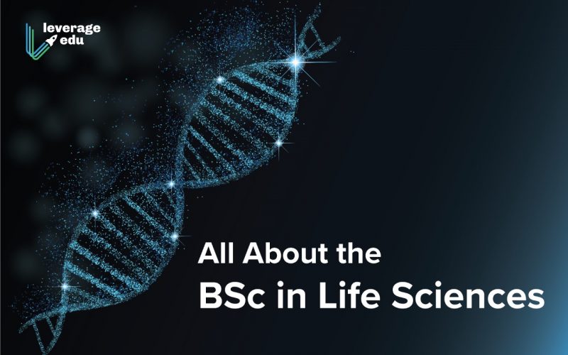 All About the BSc in Life Sciences