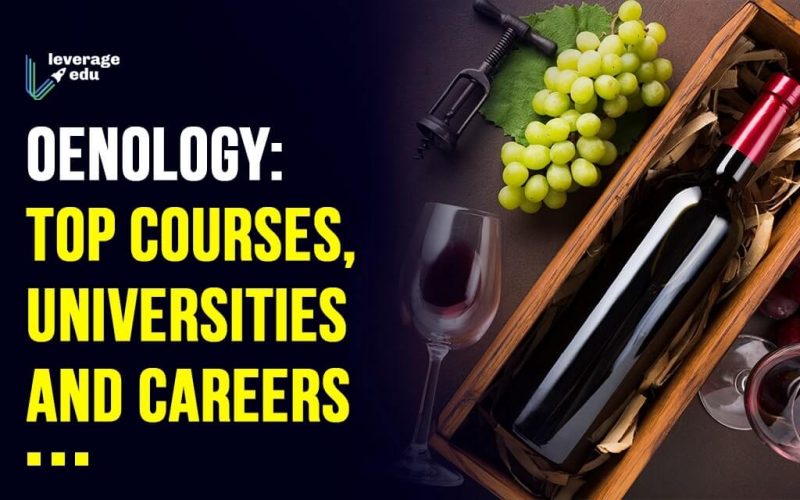 Oenology Top Courses, Universities and Careers (3)