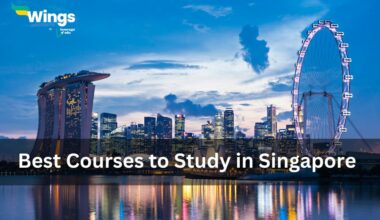 best courses to study in singapore