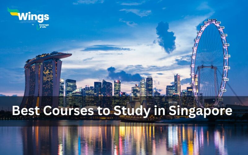 best courses to study in singapore