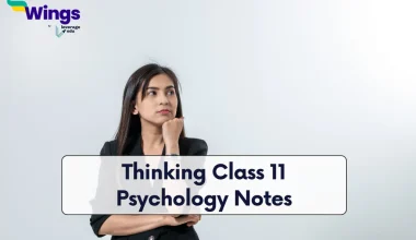 Thinking Class 11 Psychology Notes
