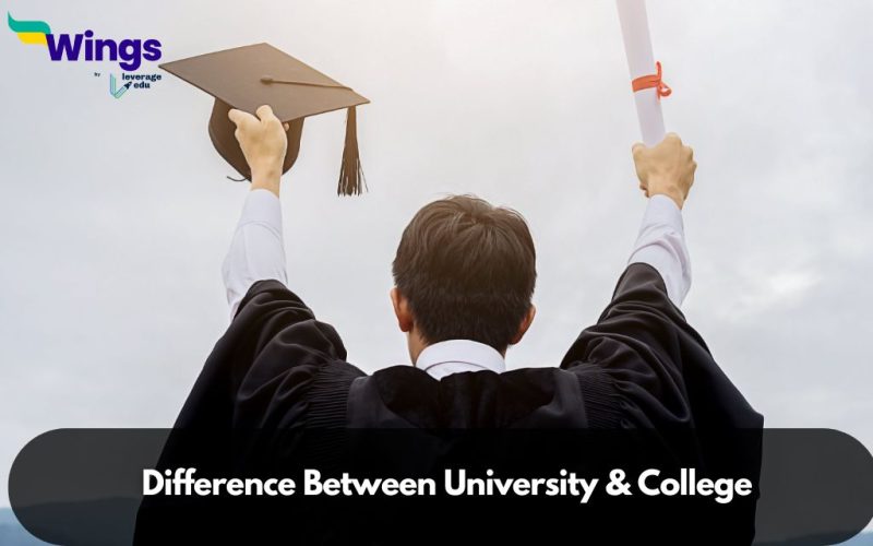 Difference Between University and College