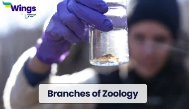 Branches of Zoology