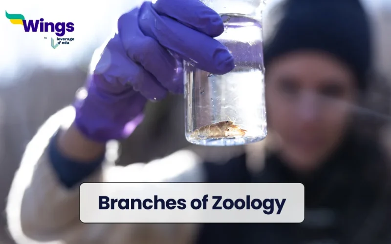 Branches of Zoology