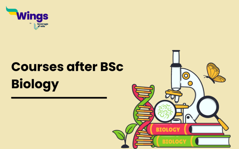 Courses after BSc Biology