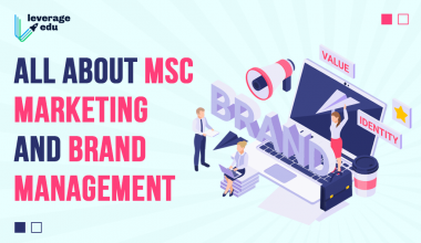 All About MSc Marketing and Brand Management (1)