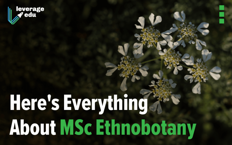 Here's Everything About MSc Ethnobotany-05 (1)