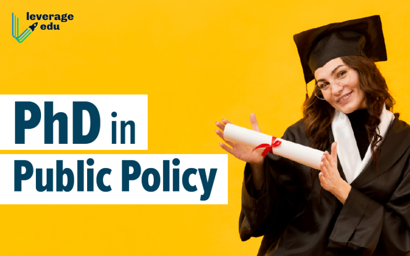 phd in policy and education