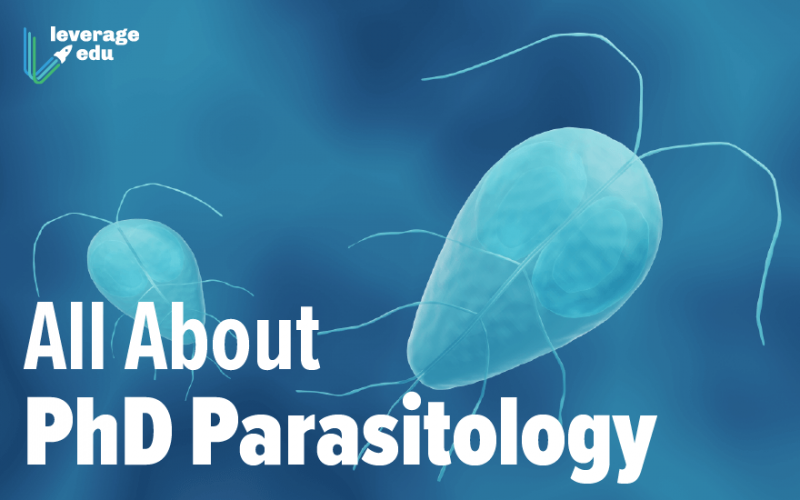 All About PhD Parasitology-01 (1)