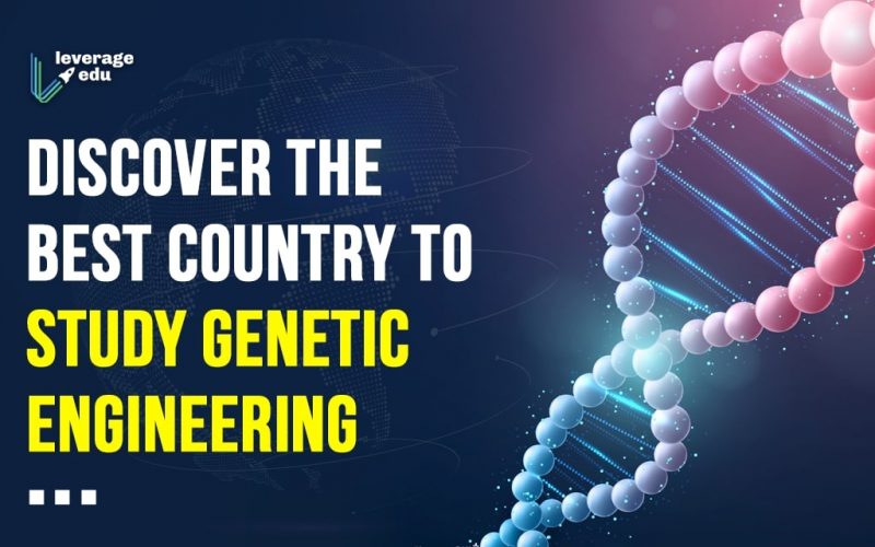 Discover the Best Country to Study Genetic Engineering