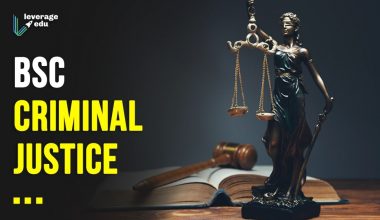 BSc Criminal Justice