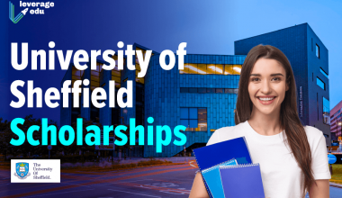 University of Sheffield Scholarships-03 (1)