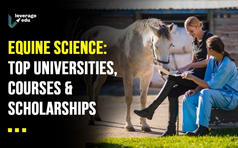 Equine Science Top Universities, Courses & Scholarships