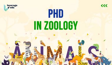 PhD in Zoology