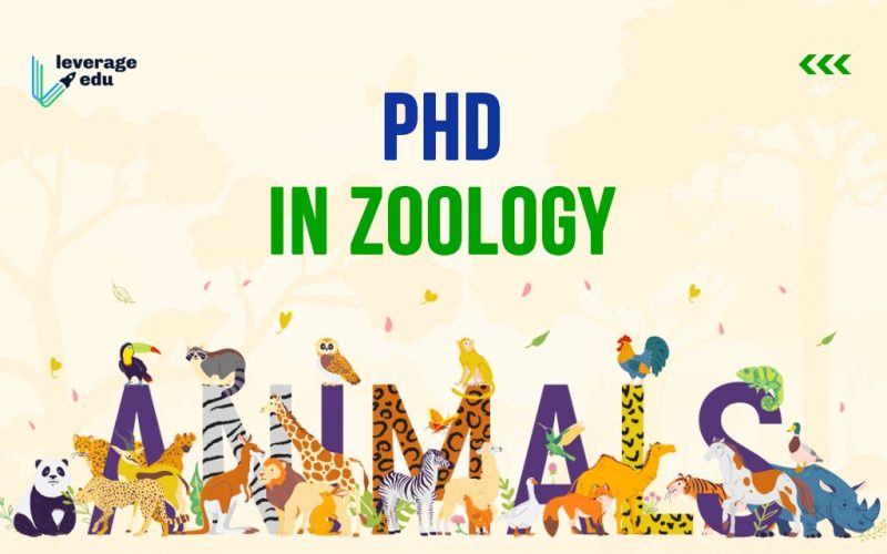 PhD in Zoology