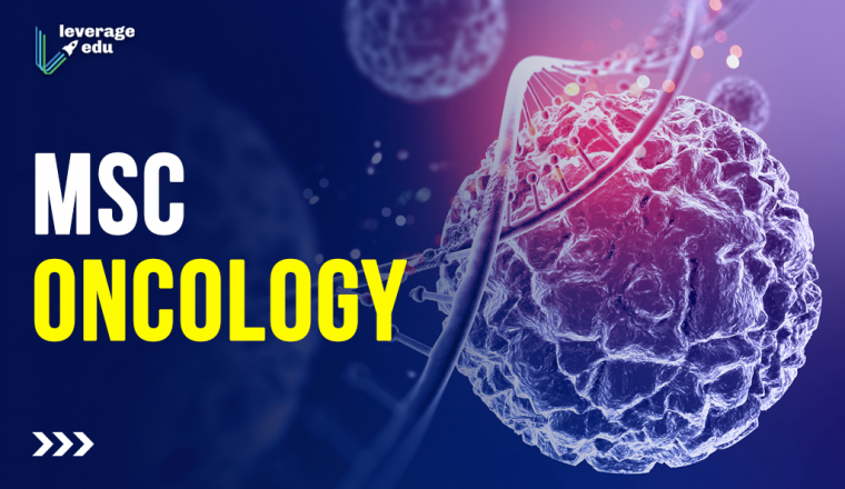 Courses after BSc Zoology Government Jobs in Zoology Leverage Edu Courses after BSc Zoology Government Jobs in Zoology Leverage Edu