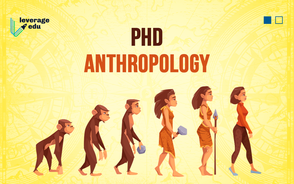 phd anthropology in usa