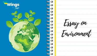 Essay on Environment