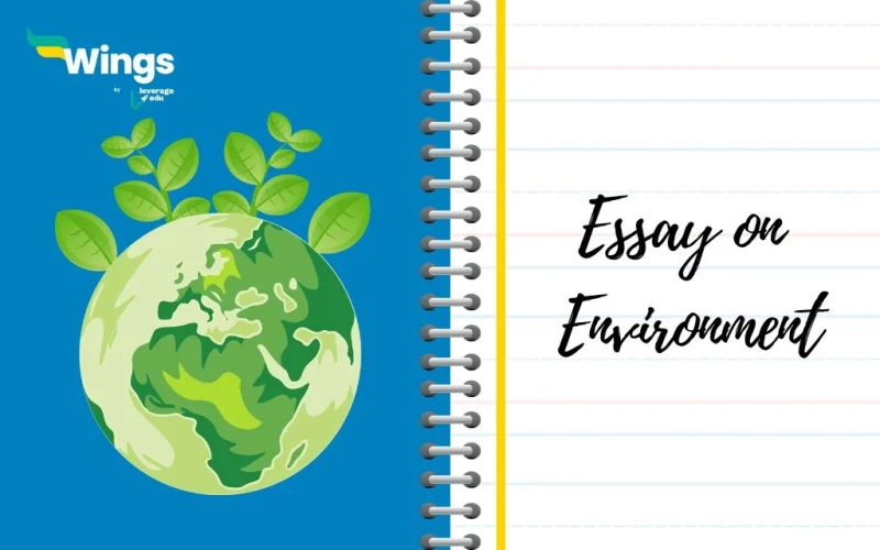 Essay on Environment