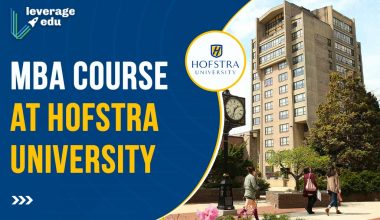 MBA Course at Hofstra University