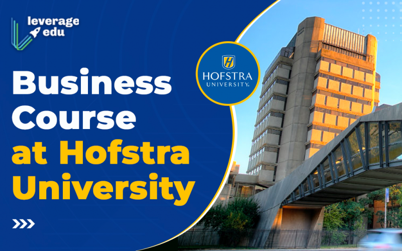 Business Course at Hofstra University
