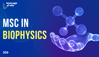 MSc in Biophysics