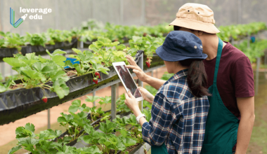 How to Become an Agronomist (1)