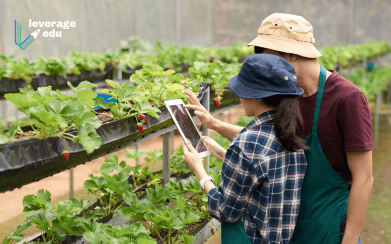 How to Become an Agronomist (1)