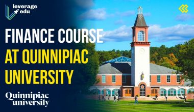 Finance Course at Quinnipiac University