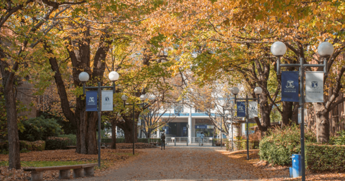 VET Courses in Australia Universities, Eligibility, Scholarships Leverage Edu