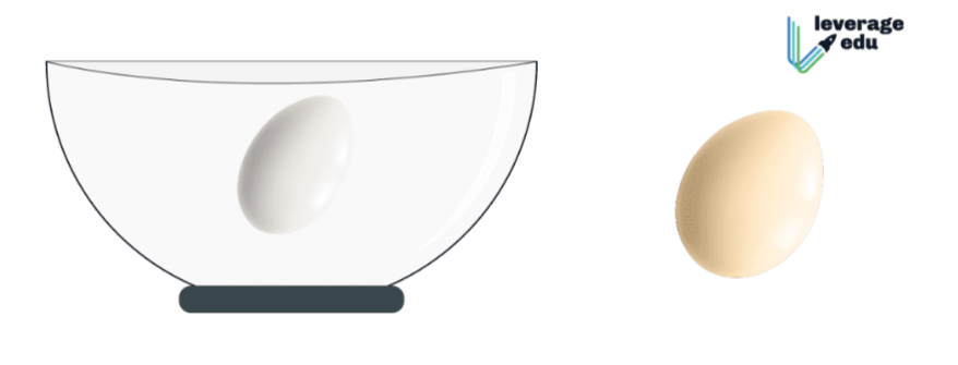 Science Experiments for Class 6