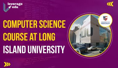 Computer science course at Long Island University
